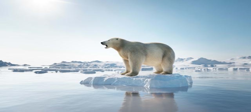Deshielo del océano Ártico y sus implicaciones